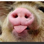 Profile Picture of Larry Coburn (@larry.coburn1) on Instagram