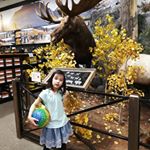 Profile Picture of Tien-Ling Hsieh (@hsiehtienling) on Instagram
