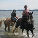 Profile Picture of Paula Asselin (@oldtime1) on Pinterest