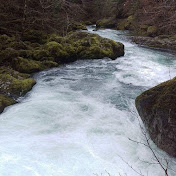 Profile Picture of Amanda Gilbert (@amandagilbert5864) on Youtube