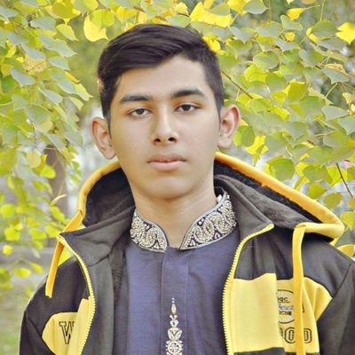 Profile Picture of Suleman Ahmed (@sulemanahmed15) on Twitter