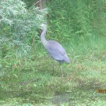 Profile Picture of Bradley C Wittmer (@bwitrmer) on Instagram