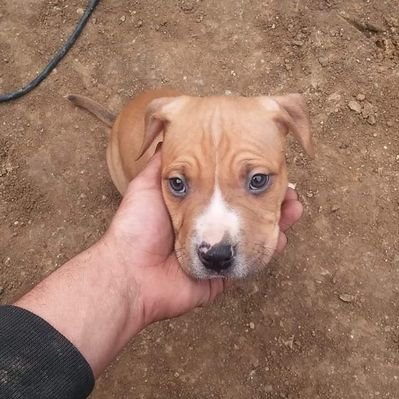 Profile Picture of David Fury (@davidfury13) on Twitter