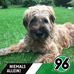 Profile Picture of Thomas Hiller (@thomas.hiller.102) on Facebook