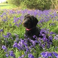 Profile Picture of Joanne Gibbs (@joanne-gibbs-1) on Quora