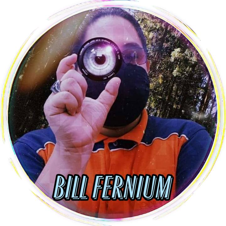 Profile Picture of BillFernium (@bill_fernium) on Tiktok