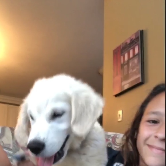 Profile Picture of Kk Urschler (@kk_urschler) on Poshmark