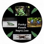 Nolan Asplund - Facebook Profile Picture of Nolan Asplund (@Funky.Fresh.Reptiles) on Facebook