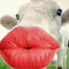 Profile Picture of Chris Mota (@chrismota415) on Twitter