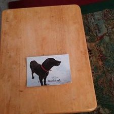 Profile Picture of John Mjchael Stoll (@MjchaelStoll) on Twitter