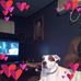 Profile Picture of David Hipps (@david.hipps.925) on Facebook