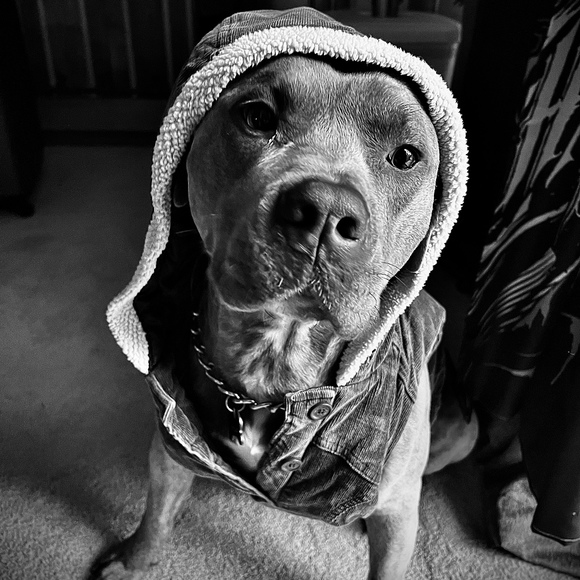 Profile Picture of James Vandehey (@vr6outlaw) on Poshmark