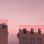 Profile Picture of lily chee (@lovecheebirds) on Instagram