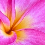 Profile Picture of Jason Campbell (@jasoncampbell.77) on Flickr