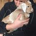 Profile Picture of Brett Christian (@brett.christian.10048) on Facebook