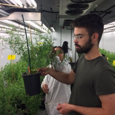 Profile Picture of Matt Wengler (@mattrwengler) on Twitter