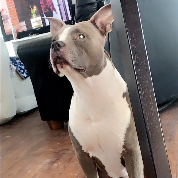 Profile Picture of Dedrik Ytuarte (@dedrik830) on Poshmark