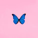 Naomi♡ - Instagram Profile Picture of Naomi♡ (@naomisamuel_) on Instagram