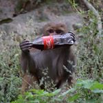 Profile Picture of Carpe Diem (@brett.carpenter) on Instagram