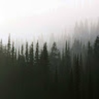 Profile Picture of Jeremy Nay (@jeremy-nay-2) on Quora