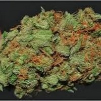 Profile Picture of Brent Dyson (@brent-dyson-1) on Quora