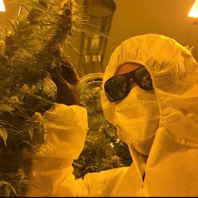 Profile Picture of Derek Good (@the_moonrocker) on Twitter