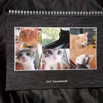 Profile Picture of Amber (@@CalendarsGifts) on Twitter