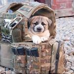 Profile Picture of Evan Wesley Darnell (@jaktehknife) on Instagram