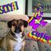 Profile Picture of Chloe Demarest (@chloe.demarest.7) on Facebook