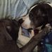 Profile Picture of Violet Foster (@violet.foster.391420) on Facebook