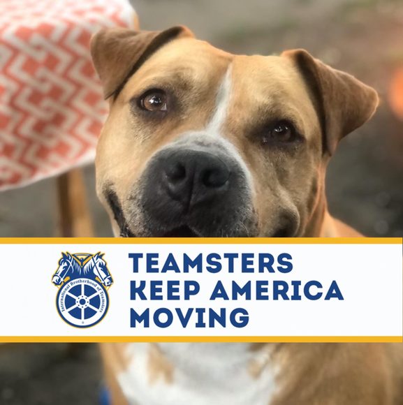 Profile Picture of Paul Gonzales (@pablogonzales59) on Poshmark