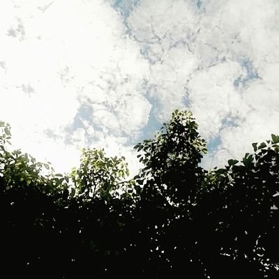 Profile Picture of Joshua Cardozo (@pandorut) on Twitter