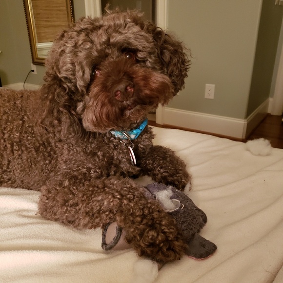 Profile Picture of Mary ellen Bosworth (@meb1354) on Poshmark