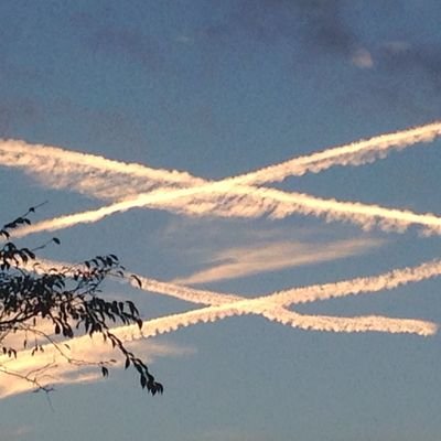 Profile Picture of Dionisio Rodriguez (@D_D_R_V) on Twitter