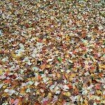 Profile Picture of Paula Conditt (@paulynn7) on Instagram