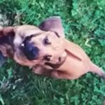 Profile Picture of Randall Brewster (@supermotocross37) on Instagram