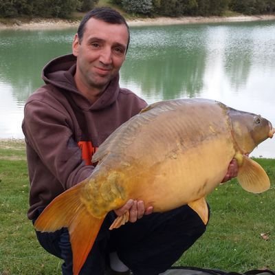 Profile Picture of Paul Davis (@pdavis43) on Twitter