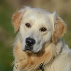 Profile Picture of Julian Frąckowiak (@julian.frackowiak.3) on Facebook