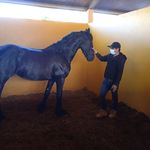 Profile Picture of Mark  Cebreros Fraijo (@cebrerosfraijo) on Instagram