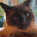 Profile Picture of Hannes Garrett (@hannesgarrett) on Instagram