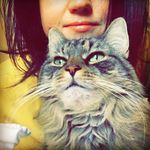 Profile Picture of Amy Scully (@ascullyy) on Instagram