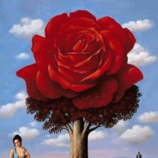 Profile Picture of Abel Anaya (@abel.anaya.944) on Facebook