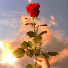 Profile Picture of Amal Chrif (@amal.chrif5) on Tiktok