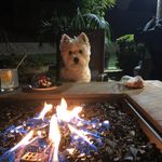 Profile Picture of Brandon Abbey (@grubbeyab) on Instagram