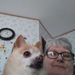 Profile Picture of Lori Benson (@lori.benson.9862) on Instagram