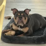 Profile Picture of Ralph Mannino (@Ralph-Mannino) on Facebook