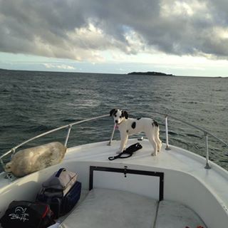 Profile Picture of James Lunetta (@james.lunetta) on Facebook