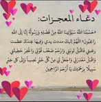 Profile Picture of Chadlia Harbach (@Chadlia-Harbach) on Facebook