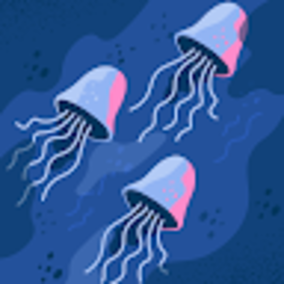 Profile Picture of Bridgida Mcgaughy (@bridgidam) on Poshmark