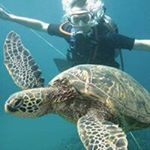 Profile Picture of Mark Osterman (@markosterman) on Instagram